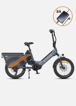ENGWE LE20 250W Mid - drive Torque Sensor Step - Thru Cargo Ebike - BikeVentures