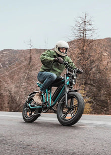 ENGWE M20 75KM+75KM Max Speed 25 km/h Dual Suspension Long Range E - bike - BikeVentures