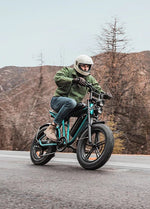 ENGWE M20 75KM+75KM Max Speed 25 km/h Dual Suspension Long Range E - bike - BikeVentures
