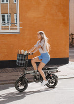 ENGWE T14 25OW Foldable Electric Bike City E - bike 1OAh 25km/h 8Okm - BikeVentures