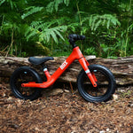 HOY Weee! 12" Balance Bike - BikeVentures