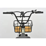 Revom T1 Urban Electric Tricycle 250W - BikeVentures