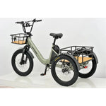 Revom T1 Urban Electric Tricycle 250W - BikeVentures