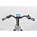 Revom T1 Urban Electric Tricycle 250W - BikeVentures