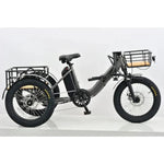 Revom T1F Folding Urban Electric Tricycle 250W - BikeVentures