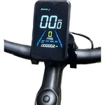 Revom U1 All - Terrain Step - Through Electric Bike 250W - BikeVentures