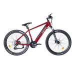Roxform GRAVION Step - Over Electric Mountain Bike 250W - 24 - Speed Gears - BikeVentures