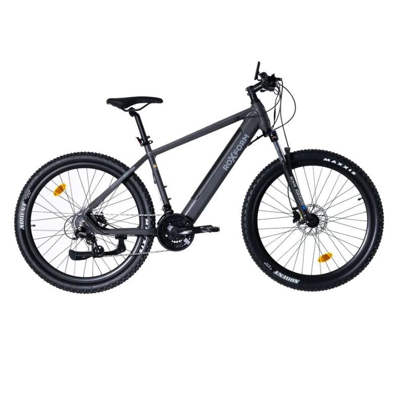 Roxform GRAVION Step - Over Electric Mountain Bike 250W - 24 - Speed Gears - BikeVentures