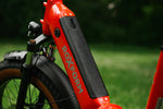 Roxform IGNIS Step - Through Folding City Electric Bike 250W - BikeVentures