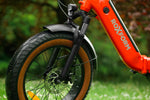 Roxform IGNIS Step - Through Folding City Electric Bike 250W - BikeVentures