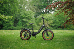 Roxform IGNIS Step - Through Folding City Electric Bike 250W - BikeVentures
