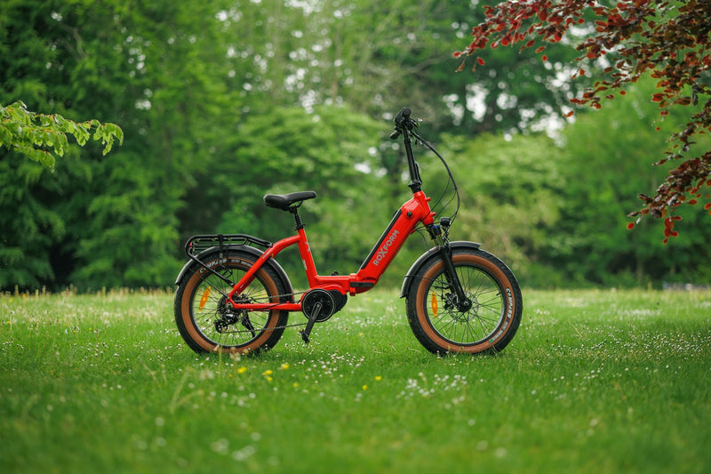 Roxform IGNIS Step - Through Folding City Electric Bike 250W - BikeVentures