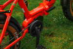 Roxform IGNIS Step - Through Folding City Electric Bike 250W - BikeVentures