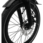 Roxform PLICO Step - Through Folding Electric Bike 250W - BikeVentures