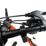 Roxform PLICO Step - Through Folding Electric Bike 250W - BikeVentures