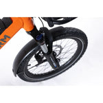 Roxform PORTO L. Cargo Electric Bike 250W - Long Range. Up To 60 miles. - BikeVentures