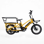 Roxform PORTO L. Cargo Electric Bike 250W - Long Range. Up To 60 miles. - BikeVentures