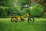 Roxform PORTO L Long Range Cargo Electric Bike 250W - Up To 100km - BikeVentures
