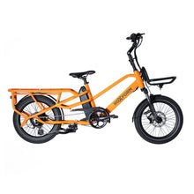 Roxform PORTO S. Cargo Electric Bike 250W - Range upto 50 Miles - BikeVentures