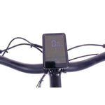 Roxform Stride S Step - Through City Commuter Electric Bike 250W - BikeVentures