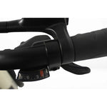 Roxform Stride S Step - Through City Commuter Electric Bike 250W - BikeVentures