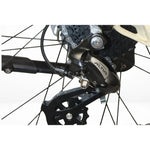 Roxform Stride S Step - Through City Commuter Electric Bike 250W - BikeVentures