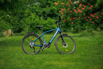 Roxform Valor L Mid - Drive City Commuter Electric Bike 250W - BikeVentures