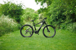 Roxform VENTURIS Mid - Drive Electric Mountain Bike 250W - BikeVentures