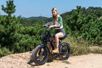 Hitway BK29 Electric Bike