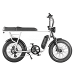 Synch Longtail Monkey 250W - BikeVentures