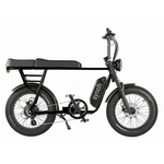 Synch Longtail Monkey 250W - BikeVentures