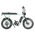 Synch Longtail Monkey 250W - BikeVentures