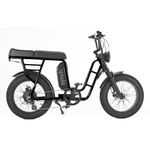 Synch Longtail ST 250W - BikeVentures