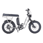 Synch Longtail ST 250W - BikeVentures