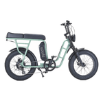 Synch Longtail ST 250W - BikeVentures
