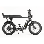 Synch Super Monkey PRO 250w - BikeVentures