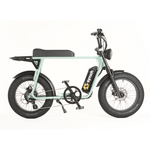 Synch Super Monkey PRO 250w - BikeVentures