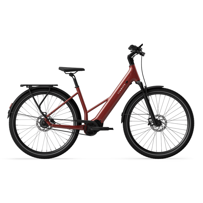 TENWAYS AGO AIR Electric Bike 80Nm Mid-Drive Motor