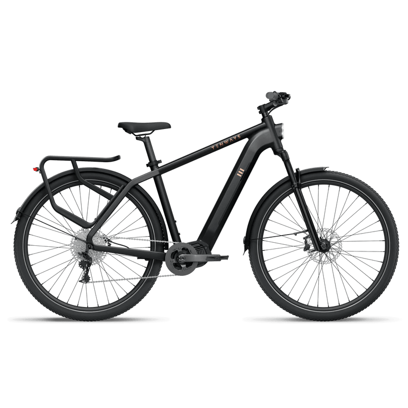 TENWAYS AGO X Electric Bike 80Nm Mid-Drive 10-Speed