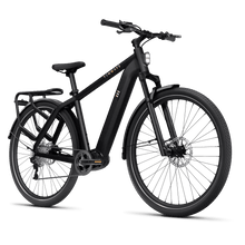 Tenways AGO X Electric Bike 80Nm Mid-Drive 10-Speed - BikeVentures
