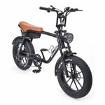 Warthog 750w Cruiser eBike - BikeVentures