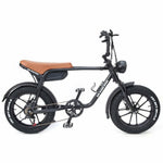 Warthog 750w Cruiser eBike - BikeVentures