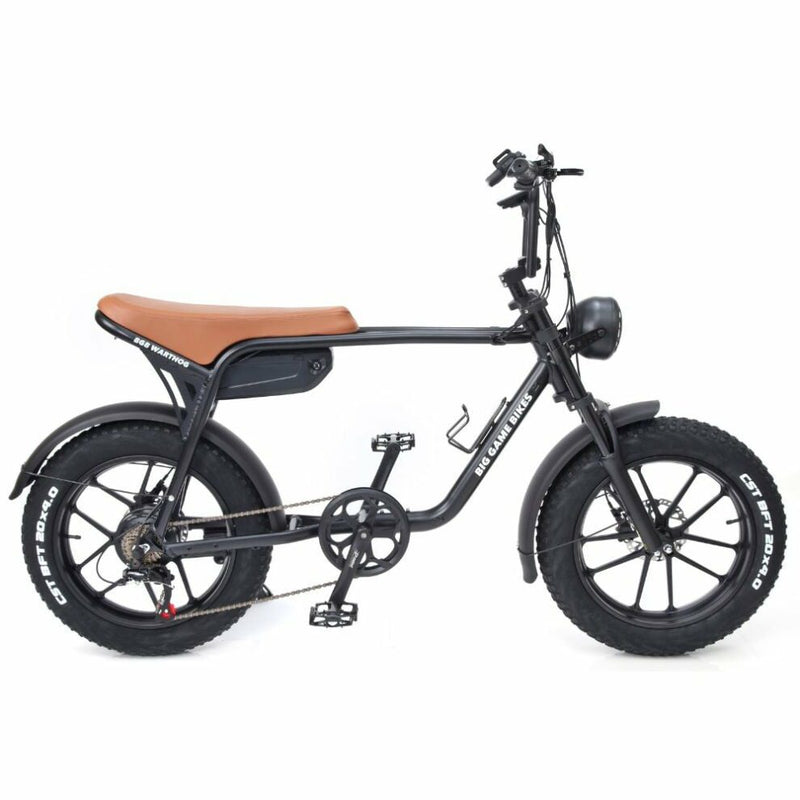 Warthog 750w Cruiser eBike - BikeVentures