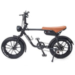 Warthog 750w Cruiser eBike - BikeVentures