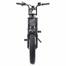Warthog 750w Cruiser eBike - BikeVentures
