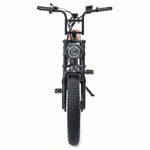 Warthog 750w Cruiser eBike - BikeVentures